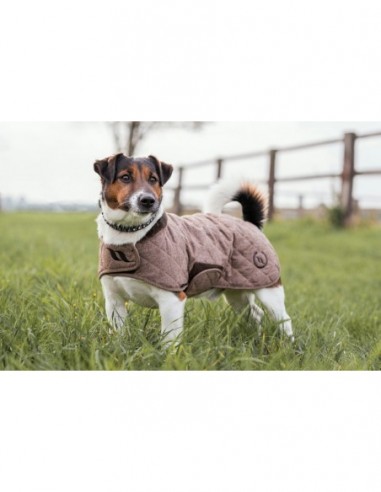 Manteau pour chien BACK ON TRACK® "Haze Collection"